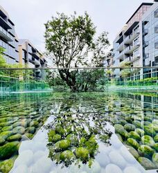 Verdale (D21), Apartment #515694531